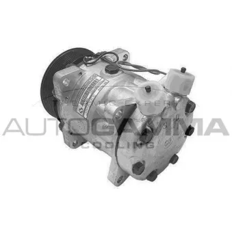 Compresseur, climatisation AUTOGAMMA 108476