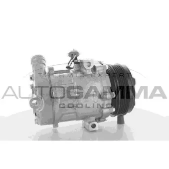 Compresseur, climatisation AUTOGAMMA 108598