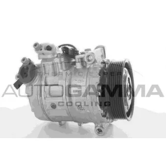 Compresseur, climatisation AUTOGAMMA OEM 64529122618