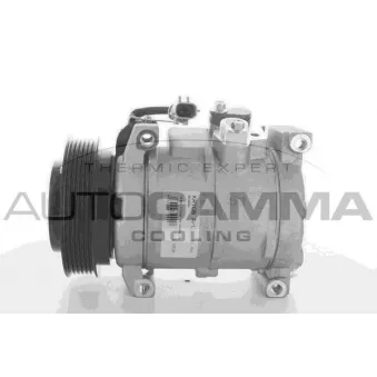 Compresseur, climatisation AUTOGAMMA OEM 5005421AA