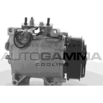 Compresseur, climatisation AUTOGAMMA OEM 38810RBA006