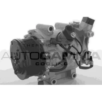 Compresseur, climatisation AUTOGAMMA OEM 38800RSRE010