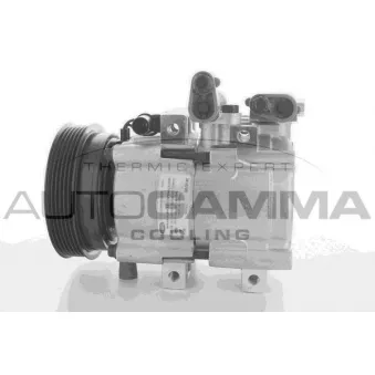 Compresseur, climatisation AUTOGAMMA 108700