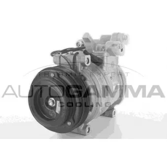Compresseur, climatisation AUTOGAMMA OEM 504384698