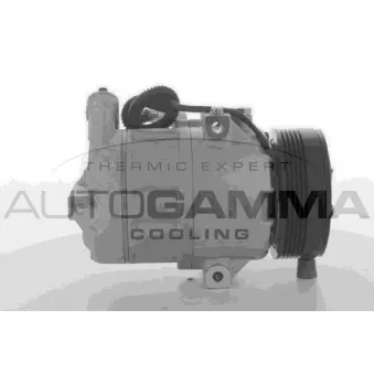Compresseur, climatisation AUTOGAMMA 108907