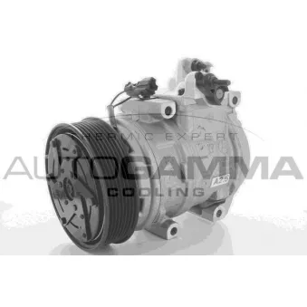 Compresseur, climatisation AUTOGAMMA OEM 977013E050