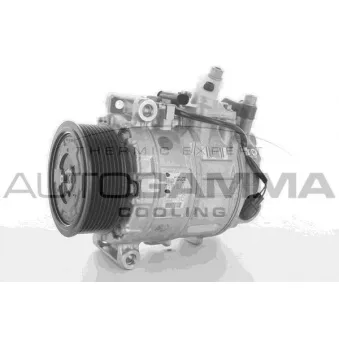 Compresseur, climatisation AUTOGAMMA OEM 0022305311