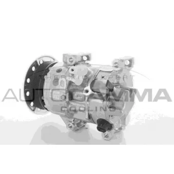 Compresseur, climatisation AUTOGAMMA OEM 8831005101