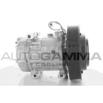 Compresseur, climatisation AUTOGAMMA 108940