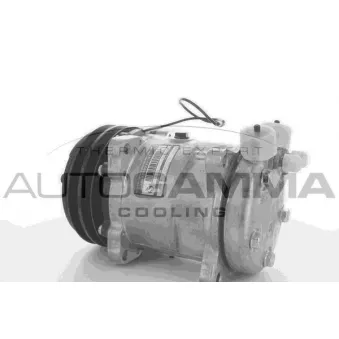 Compresseur, climatisation AUTOGAMMA OEM 72201567