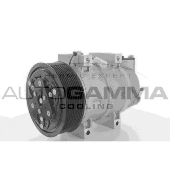 Compresseur, climatisation AUTOGAMMA 108980