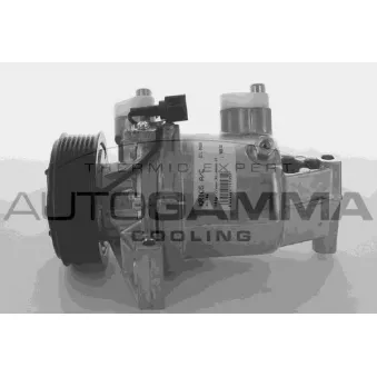 Compresseur, climatisation AUTOGAMMA OEM 926001KA1B