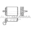 Évaporateur climatisation AUTOGAMMA [112029]
