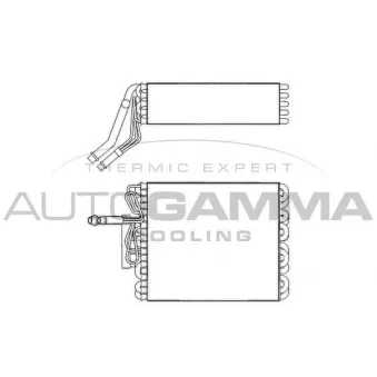 AUTOGAMMA 112062 - Évaporateur climatisation