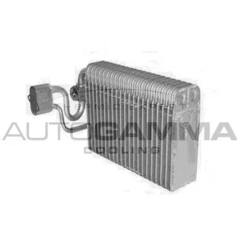 Évaporateur climatisation AUTOGAMMA 112067