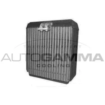 Évaporateur climatisation AUTOGAMMA 112070