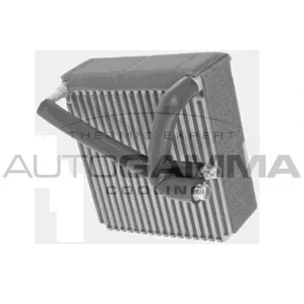 Évaporateur climatisation AUTOGAMMA OEM 1638300058