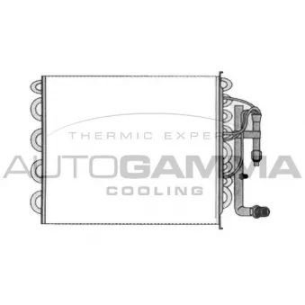 Évaporateur climatisation AUTOGAMMA 112191