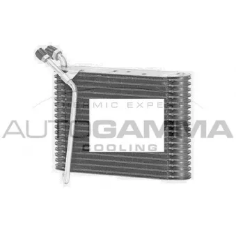 Évaporateur climatisation AUTOGAMMA 112208