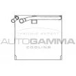 AUTOGAMMA 112209 - Évaporateur climatisation