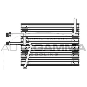 Évaporateur climatisation AUTOGAMMA 112210