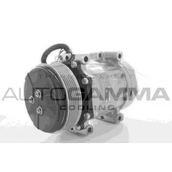 Compresseur, climatisation AUTOGAMMA OEM 4281803M1