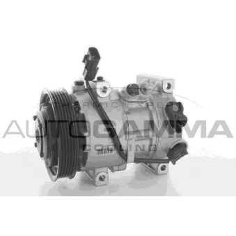 Compresseur, climatisation AUTOGAMMA 118366