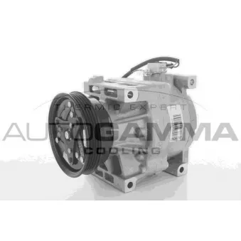 Compresseur, climatisation AUTOGAMMA 118379