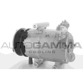 Compresseur, climatisation AUTOGAMMA OEM 1433232