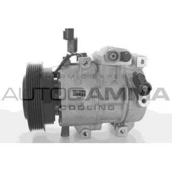Compresseur, climatisation AUTOGAMMA OEM 977012V000
