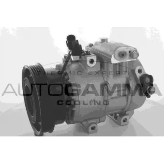 Compresseur, climatisation AUTOGAMMA OEM 977011J250