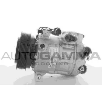 Compresseur, climatisation AUTOGAMMA OEM 977013J000