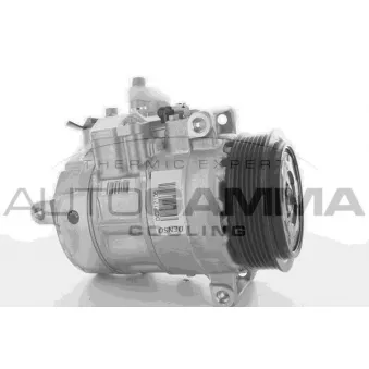 Compresseur, climatisation AUTOGAMMA 118523