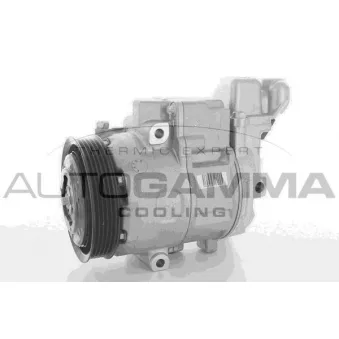 Compresseur, climatisation AUTOGAMMA OEM 0002309411