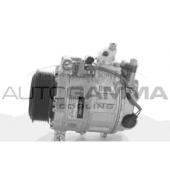 Compresseur, climatisation AUTOGAMMA OEM 0012303211
