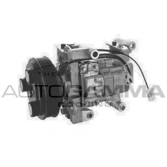 Compresseur, climatisation AUTOGAMMA OEM CC2961K00E