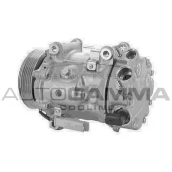 Compresseur, climatisation AUTOGAMMA OEM 6453ZT