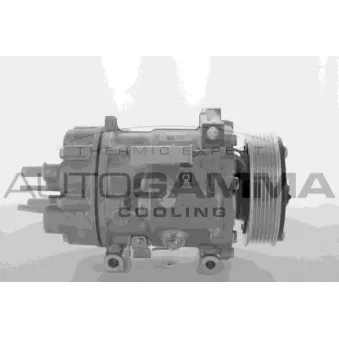 Compresseur, climatisation AUTOGAMMA OEM 648748