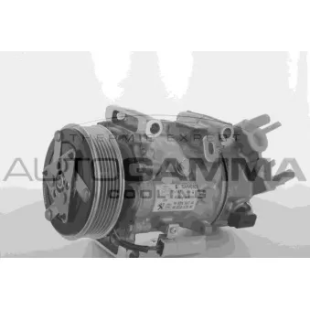 Compresseur, climatisation AUTOGAMMA OEM 9802456780