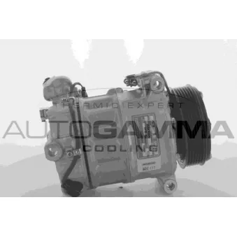 Compresseur, climatisation AUTOGAMMA OEM C2Z13666
