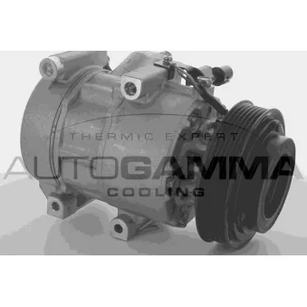 Compresseur, climatisation AUTOGAMMA OEM 977011D200