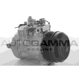 Compresseur, climatisation AUTOGAMMA OEM 0032308711