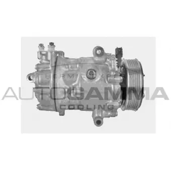 Compresseur, climatisation AUTOGAMMA OEM 1578424