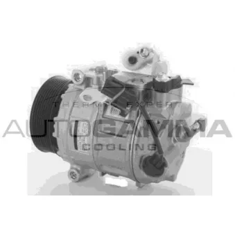 Compresseur, climatisation AUTOGAMMA OEM LR014536