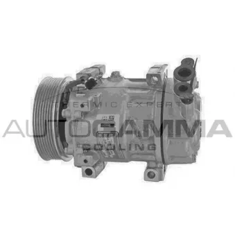 Compresseur, climatisation AUTOGAMMA OEM 8201018716