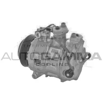 Compresseur, climatisation AUTOGAMMA OEM 0008303202