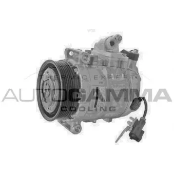 Compresseur, climatisation AUTOGAMMA OEM LR013841