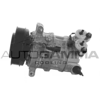 Compresseur, climatisation AUTOGAMMA OEM 31348965