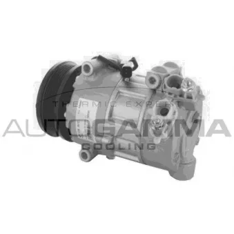 Compresseur, climatisation AUTOGAMMA OEM DV6119D629DB