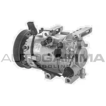 Compresseur, climatisation AUTOGAMMA 118708